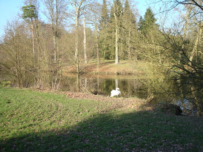 DSC06991