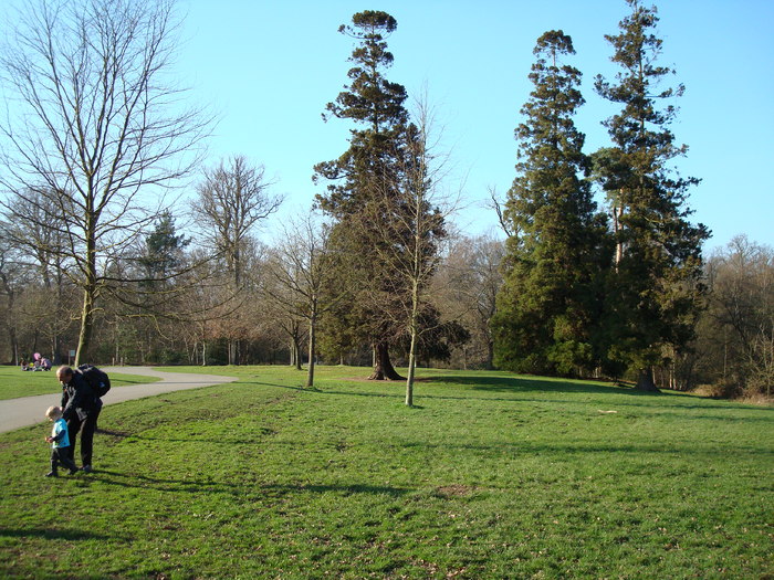 DSC06992