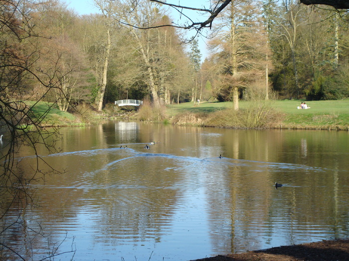 DSC06993 - PARCUL VIRGINIA WATER