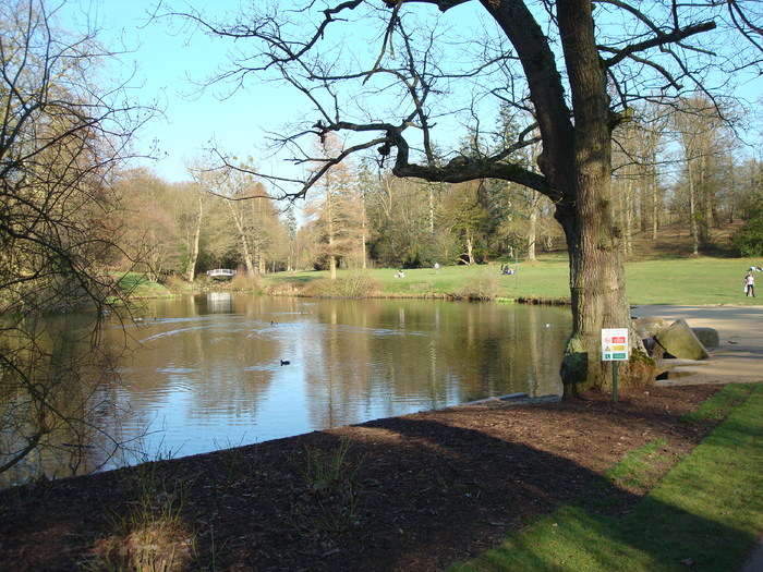 DSC06994