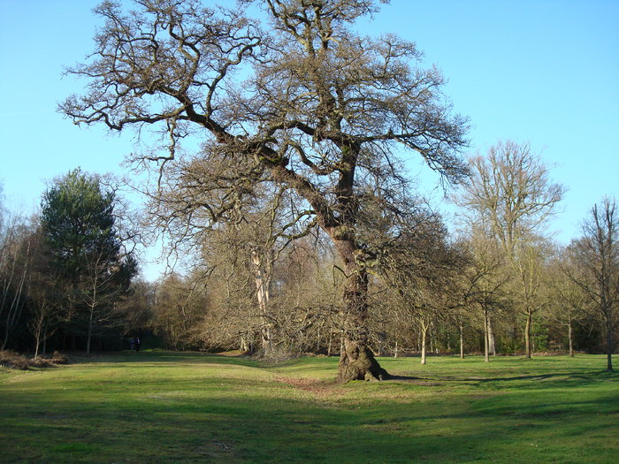 DSC06997