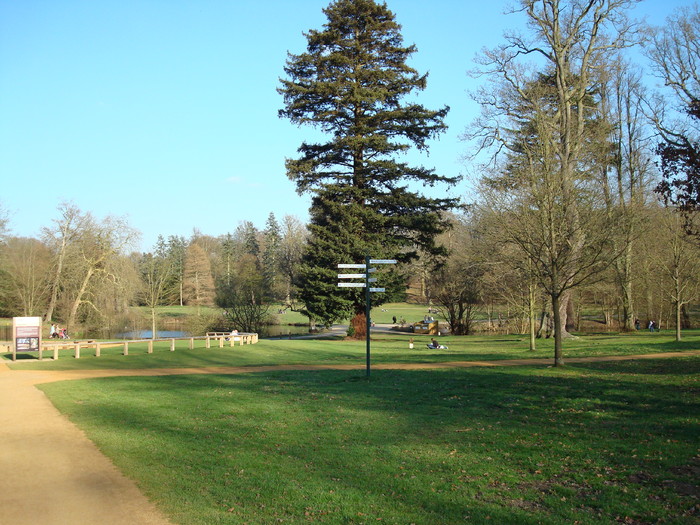 DSC06999
