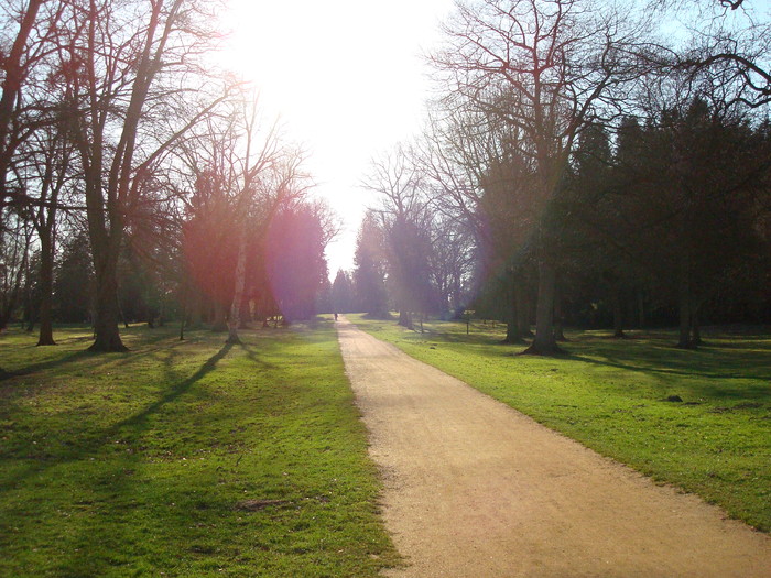DSC07001
