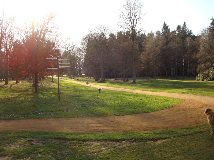 DSC07004