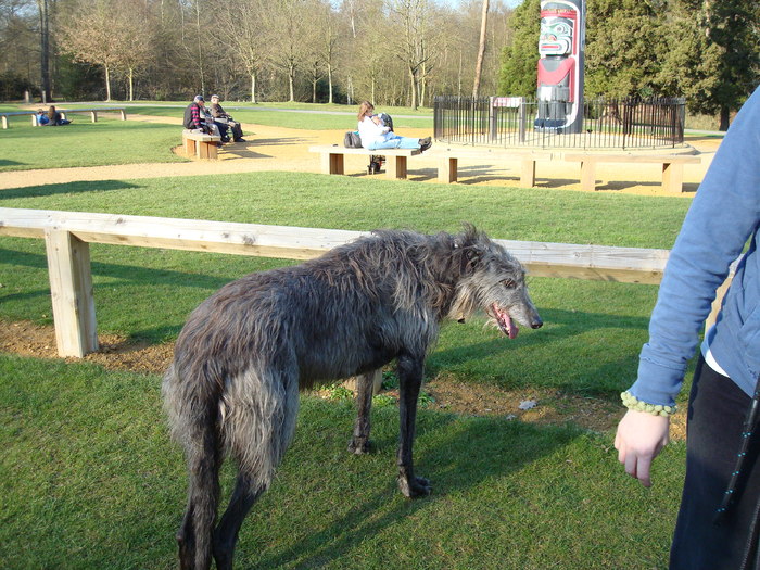 DSC07008