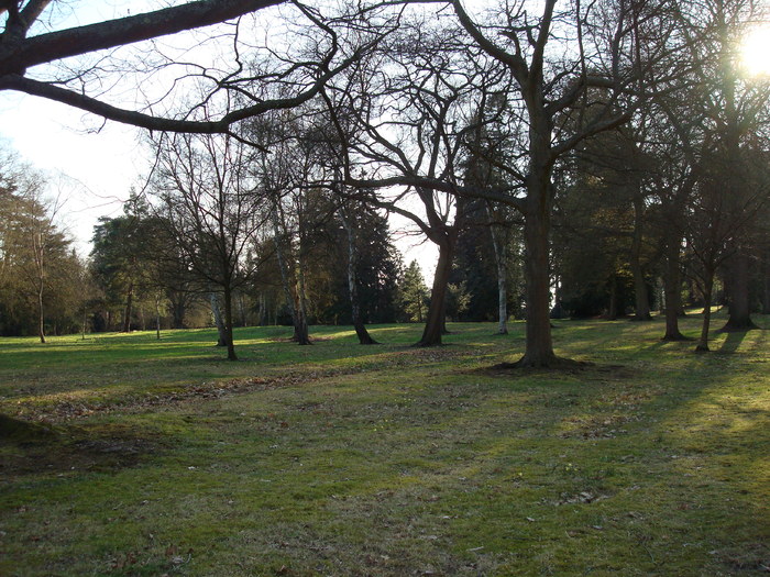 DSC07015