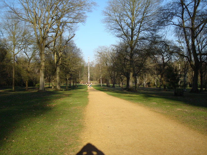 DSC07019