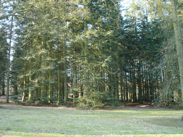 DSC07020