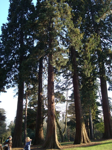 DSC07025