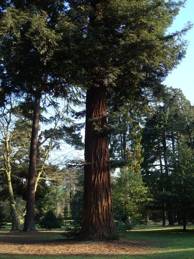 DSC07028