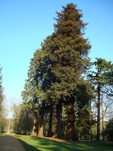 DSC07031