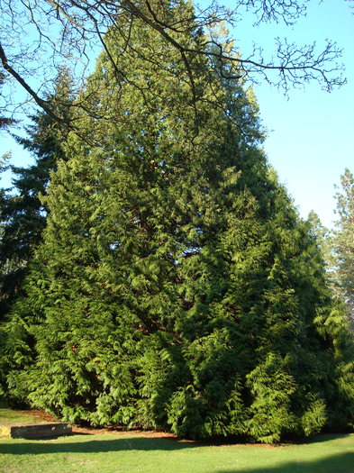 DSC07032