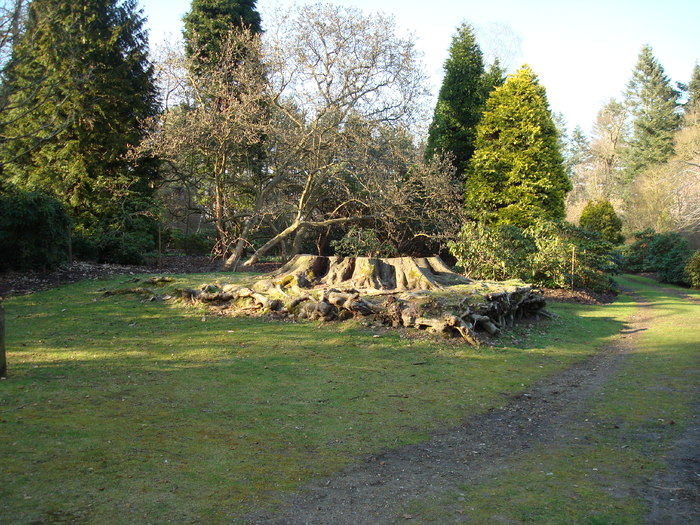 DSC07035