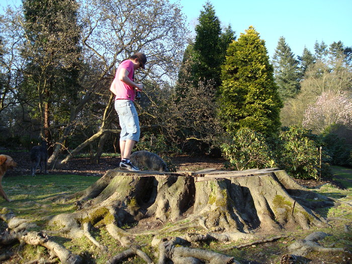 DSC07036