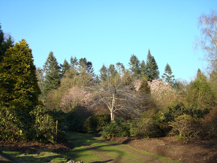 DSC07039