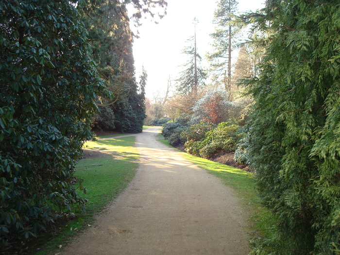 DSC07040