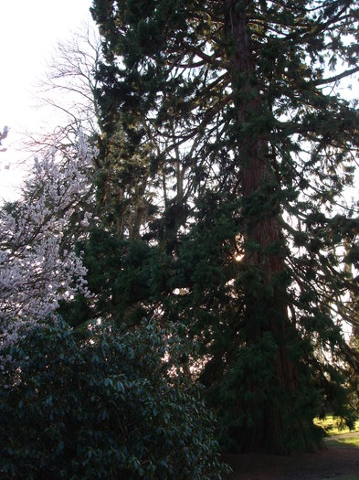DSC07041