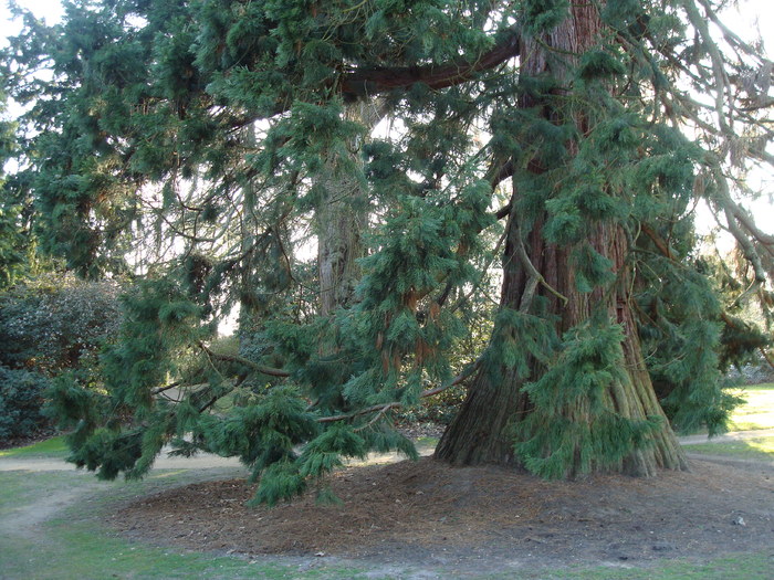 DSC07042