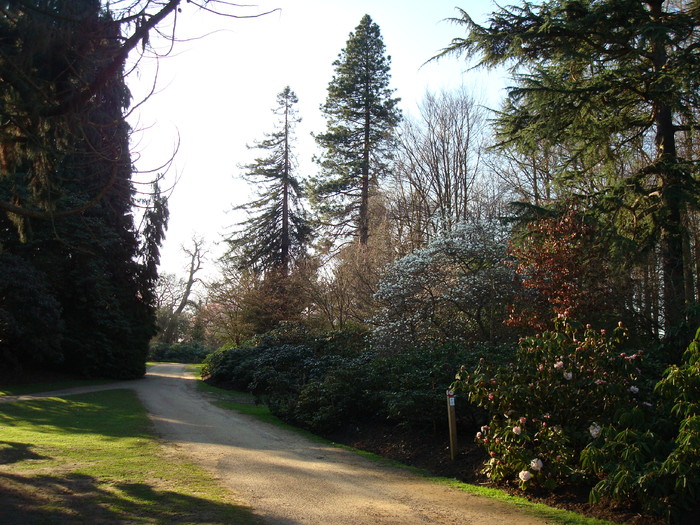 DSC07043