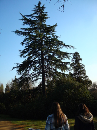 DSC07046