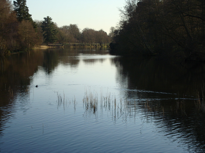 DSC07064 - PARCUL VIRGINIA WATER