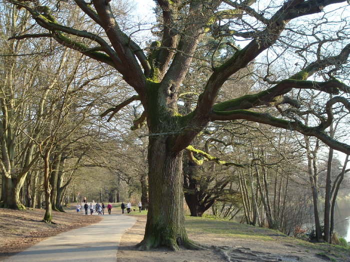 DSC07067 - PARCUL VIRGINIA WATER