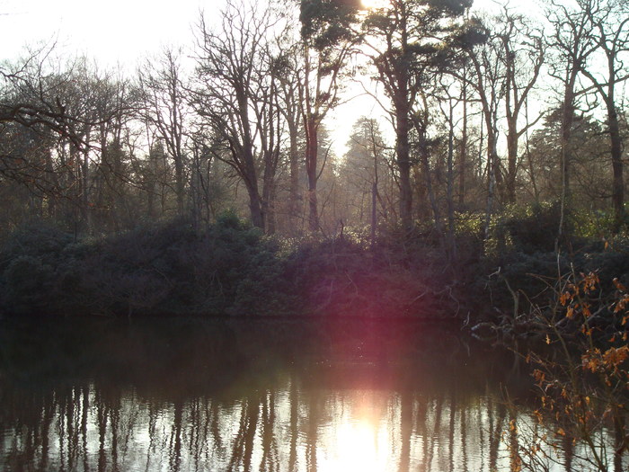 DSC07069 - PARCUL VIRGINIA WATER