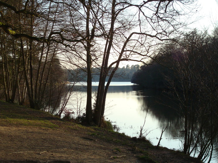 DSC07070 - PARCUL VIRGINIA WATER