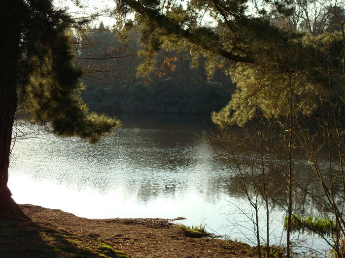 DSC07075 - PARCUL VIRGINIA WATER