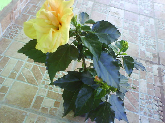 DSC02615