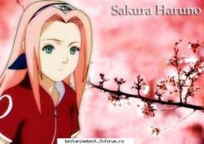 sakura - poze cu sakura