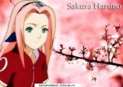 sakura