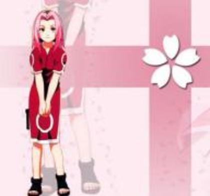 sakura - haruno sakura