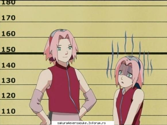 sakura evolution