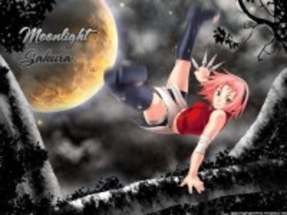 sakura shippuden