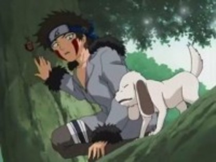 kiba