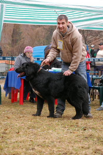 Codrut - Expo Club Rasnov 2011