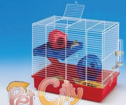 haideti baieti(fete)puteti!