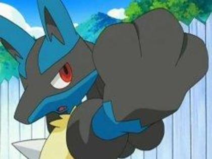 Lucario baiat lvl 89 stie:toate miscarile luptatoare