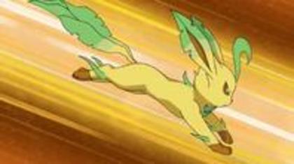 Leafeon fata lvl 89 stie toate miscarile tip iarba - Pokemoni lui Raila