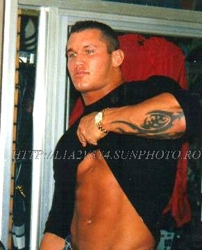 randy orton (17) - mmmmmmm hot