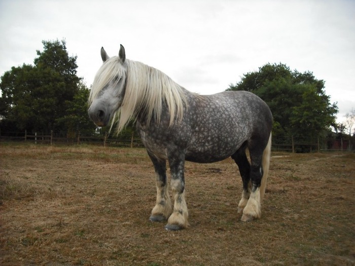 ninou-profil-3-1024x768