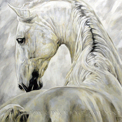70andalus_stallion-joart - alte frumuseti andalusian horses