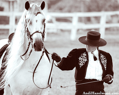 2175688371_7d61a645fa - alte frumuseti andalusian horses