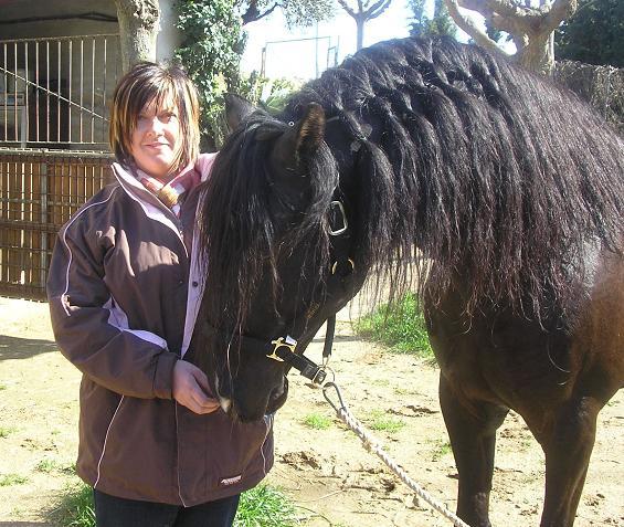 georgina - alte frumuseti andalusian horses