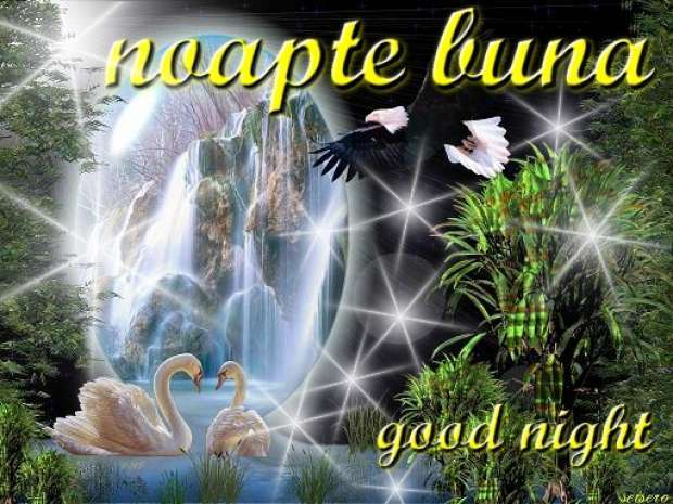 noapte_buna