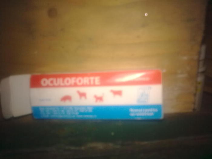 Oculoforte - w Doftorii sosoi