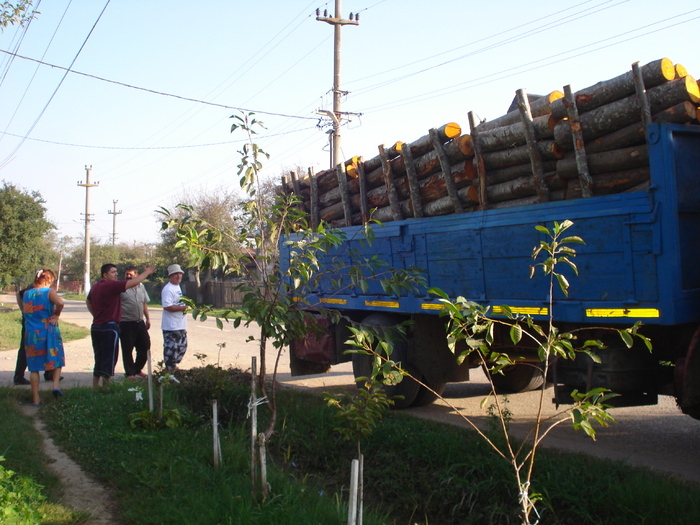 A SOSIT CAMIONUL CU LEMNE