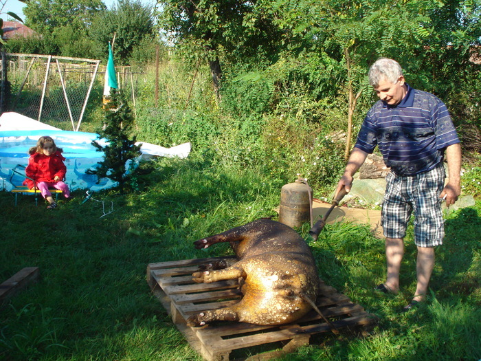 SA PARLIM PORCUL - CONCEDIU ACASA_IN ROMANIA-2010