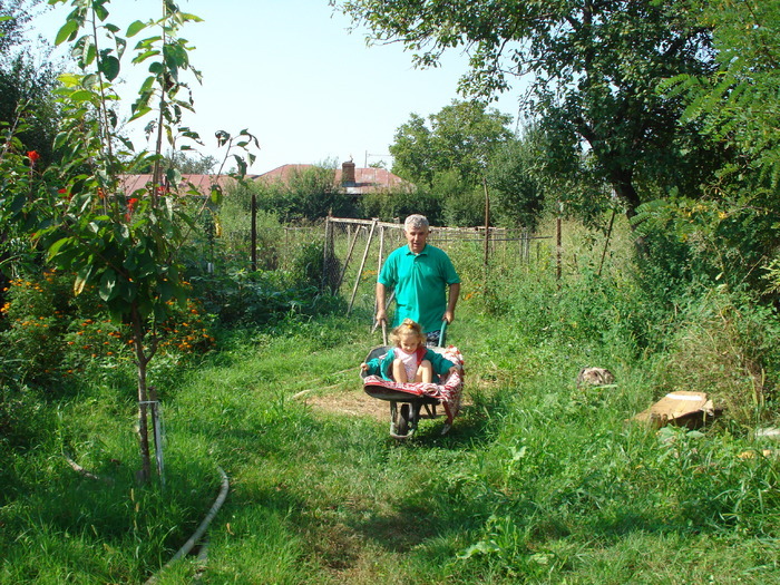 LA PLIMBARE CU ROABA:) - CONCEDIU ACASA_IN ROMANIA-2010